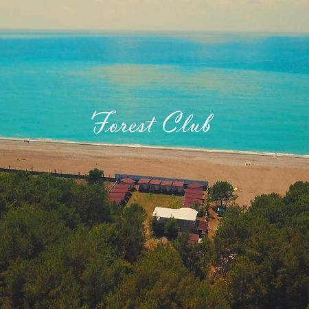Mini-Hotel Forest Club 皮聪达 外观 照片