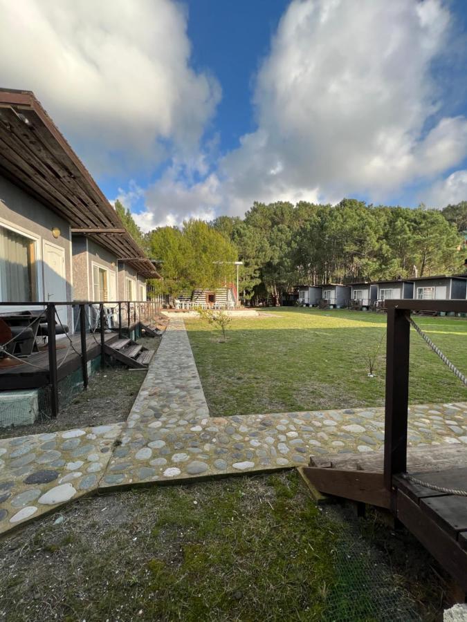 Mini-Hotel Forest Club 皮聪达 外观 照片