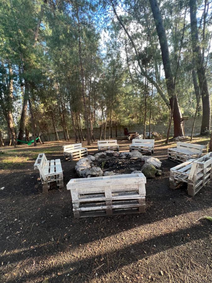 Mini-Hotel Forest Club 皮聪达 外观 照片
