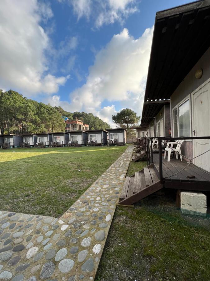 Mini-Hotel Forest Club 皮聪达 外观 照片