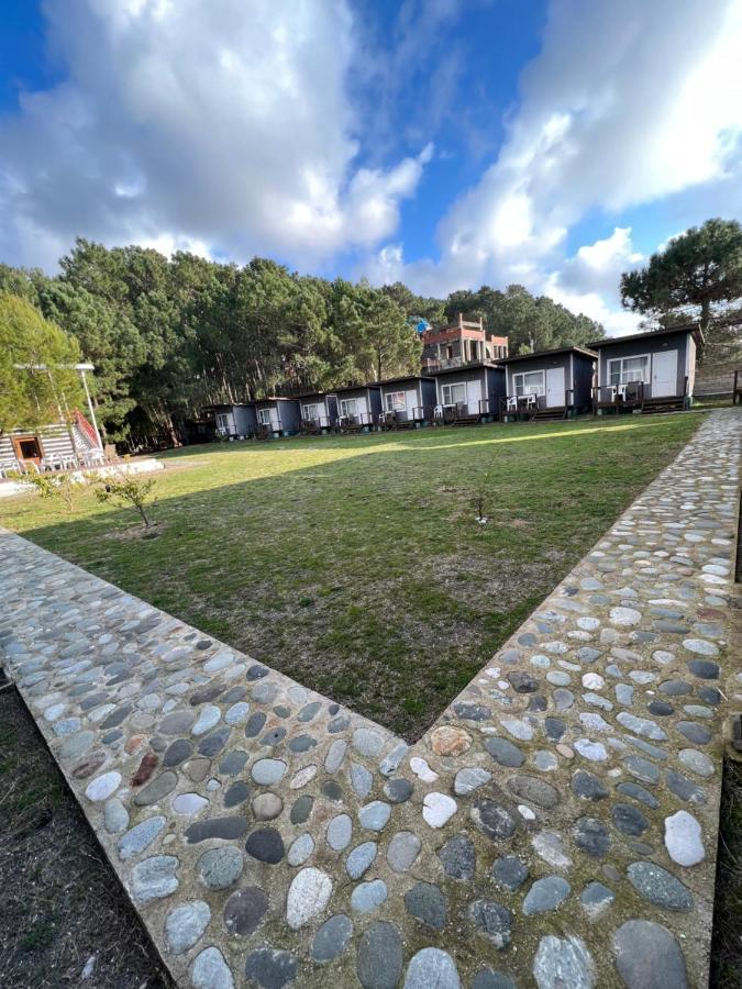 Mini-Hotel Forest Club 皮聪达 外观 照片