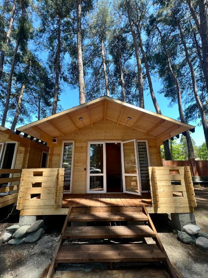 Mini-Hotel Forest Club 皮聪达 外观 照片