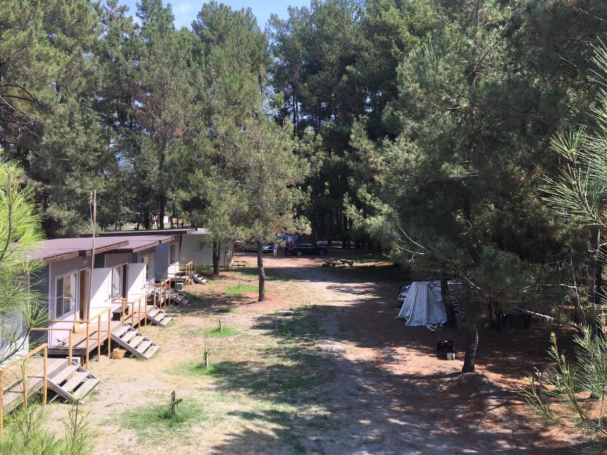 Mini-Hotel Forest Club 皮聪达 外观 照片