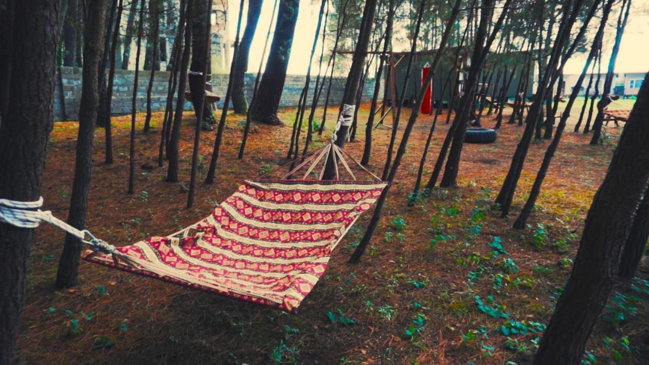 Mini-Hotel Forest Club 皮聪达 外观 照片