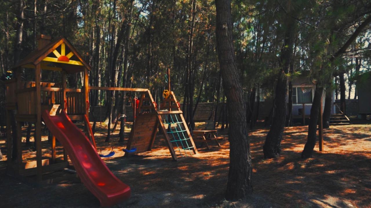 Mini-Hotel Forest Club 皮聪达 外观 照片